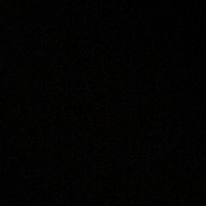 Meet your Posher, Leia